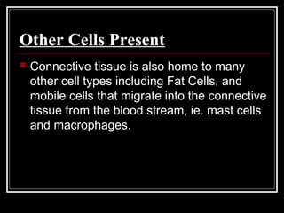 Other Cells Present
 Connective tissue is also home to many
other cell types including Fat Cells, and
mobile cells that migrate into the connective
tissue from the blood stream, ie. mast cells
and macrophages.
 