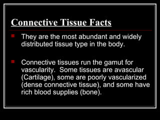 Connective Tissue Facts
 They are the most abundant and widely
distributed tissue type in the body.
 Connective tissues run the gamut for
vascularity. Some tissues are avascular
(Cartilage), some are poorly vascularized
(dense connective tissue), and some have
rich blood supplies (bone).
 