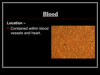 Blood
Location –
 Contained within blood
vessels and heart.
 