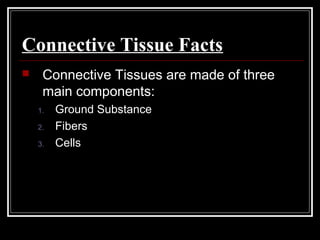 Connective Tissue Facts
 Connective Tissues are made of three
main components:
1. Ground Substance
2. Fibers
3. Cells
 