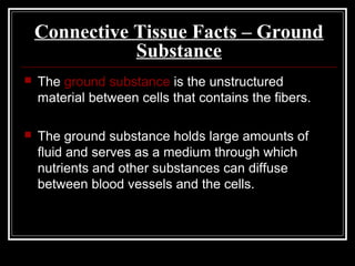 Connective Tissue Facts – Ground
Substance
 The ground substance is the unstructured
material between cells that contains the fibers.
 The ground substance holds large amounts of
fluid and serves as a medium through which
nutrients and other substances can diffuse
between blood vessels and the cells.
 