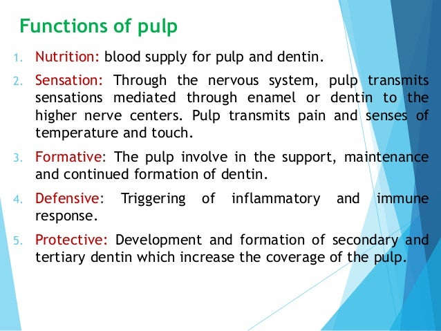 Pulp Und Antipulp Definition | Pulp Definition & Meaning – JYVZ