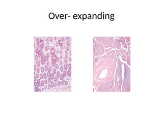 Histology artifacts by Dr. Ali Yaseen.pptx
