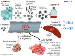 Back to Immu




T-CELLS
V.
CANCER
 
