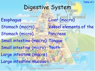 Table of Co

            Digestive System

Esophagus                 Liver (macro)
Stomach (macro)           Vessel elements of the l
Stomach (micro)           Pancreas
Small intestine (macro) Tongue
Small intestine (micro) Tooth
Large intestine (macro)
Large intestine mucous cells (micro)
 