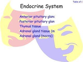 Table of Co

Endocrine System
Anterior pituitary gland (and hormones rel
Posterior pituitary gland (and hormones re
Thymus tissue
Adrenal gland tissue (micro)
Adrenal gland (macro)
 