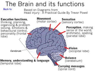 Back to Nervous System




     Cerebrum
 
