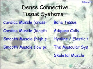 Table of Co

         Dense Connective
         Tissue Systems
Cardiac Muscle (cross-section) Tissue
                         Bone

Cardiac Muscle (longitudinal section)
                          Adipose Cells

Smooth Muscle (high power)
                        Hyaline / Elastic Car

Smooth Muscle (low power)
                        The Muscular System

                         Skeletal Muscle
 