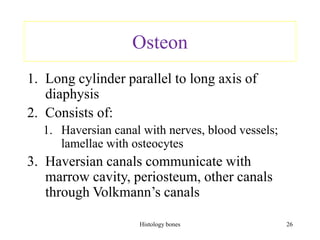 Osteon
1. Long cylinder parallel to long axis of
diaphysis
2. Consists of:
1. Haversian canal with nerves, blood vessels;
lamellae with osteocytes
3. Haversian canals communicate with
marrow cavity, periosteum, other canals
through Volkmann’s canals
Histology bones 26
 