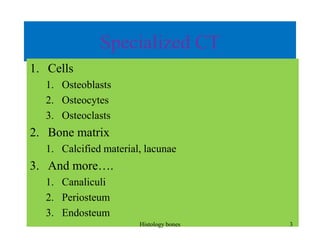 Specialized CT
1. Cells
1. Osteoblasts
2. Osteocytes
3. Osteoclasts
2. Bone matrix
1. Calcified material, lacunae
3. And more….
1. Canaliculi
2. Periosteum
3. Endosteum
Histology bones 3
 