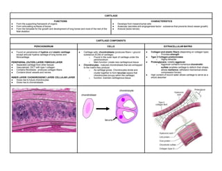 HISTOLOGY CARTILAGE Biology Diagrams