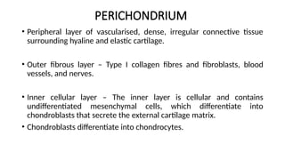 Histology Cartilage with features and microanatomy | PPTX