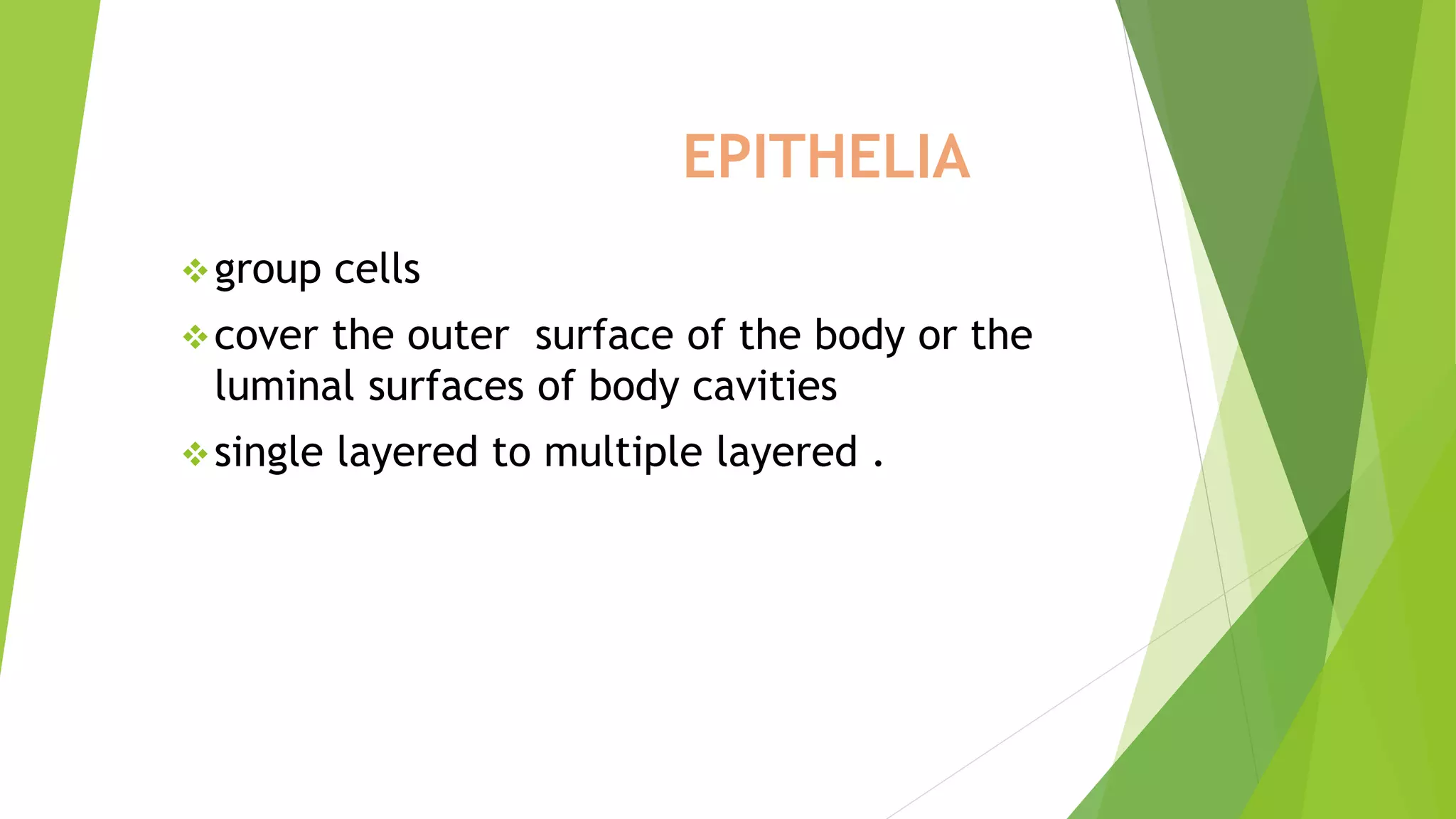introduction to Histology and epithelia | PPTX