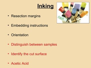 Histopathology In Practice - Sample Reception, Dissection, Processing ...