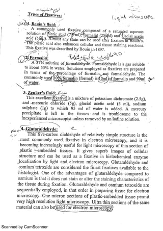 Scanned by CamScanner 
 