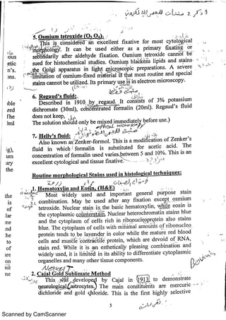 Scanned by CamScanner 
 