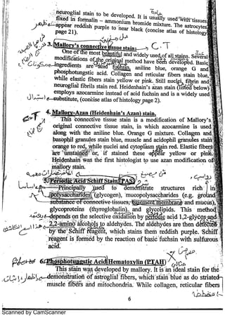 Scanned by CamScanner 
 