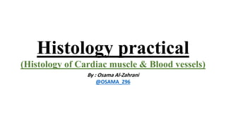 Histology practical
(Histology of Cardiac muscle & Blood vessels)
By : Osama Al-Zahrani
@OSAMA_Z96
 