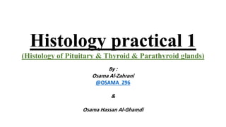 Histology practical 1
(Histology of Pituitary & Thyroid & Parathyroid glands)
By :
Osama Al-Zahrani
@OSAMA_Z96
&
Osama Hassan Al-Ghamdi
 
