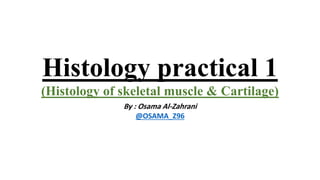 Histology practical 1
(Histology of skeletal muscle & Cartilage)
By : Osama Al-Zahrani
@OSAMA_Z96
 