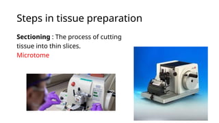Histology and Its methods of study 1.pptx