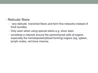 Fine Reticular Network Histology number 6 CONNECTIVE TISSUE.pptx