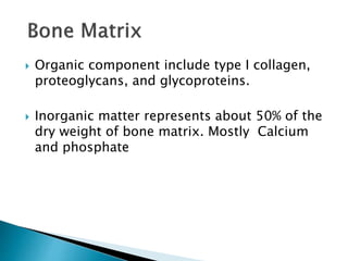  Organic component include type I collagen,
proteoglycans, and glycoproteins.
 Inorganic matter represents about 50% of the
dry weight of bone matrix. Mostly Calcium
and phosphate
 