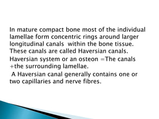 In mature compact bone most of the individual
lamellae form concentric rings around larger
longitudinal canals within the bone tissue.
These canals are called Haversian canals.
Haversian system or an osteon =The canals
+the surrounding lamellae.
A Haversian canal generally contains one or
two capillaries and nerve fibres.
 