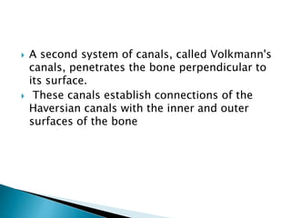 A second system of canals, called Volkmann's
canals, penetrates the bone perpendicular to
its surface.
 These canals establish connections of the
Haversian canals with the inner and outer
surfaces of the bone
 