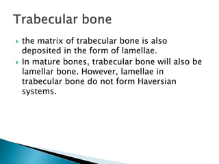  the matrix of trabecular bone is also
deposited in the form of lamellae.
 In mature bones, trabecular bone will also be
lamellar bone. However, lamellae in
trabecular bone do not form Haversian
systems.
 