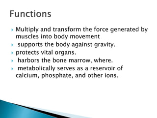  Multiply and transform the force generated by
muscles into body movement
 supports the body against gravity.
 protects vital organs.
 harbors the bone marrow, where.
 metabolically serves as a reservoir of
calcium, phosphate, and other ions.
 