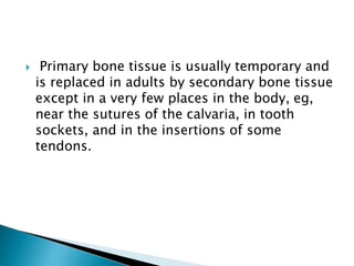  Primary bone tissue is usually temporary and
is replaced in adults by secondary bone tissue
except in a very few places in the body, eg,
near the sutures of the calvaria, in tooth
sockets, and in the insertions of some
tendons.
 