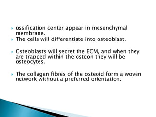  ossification center appear in mesenchymal
membrane.
 The cells will differentiate into osteoblast.
 Osteoblasts will secret the ECM, and when they
are trapped within the osteon they will be
osteocytes.
 The collagen fibres of the osteoid form a woven
network without a preferred orientation.
 