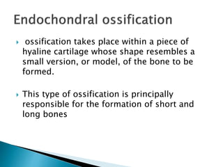  ossification takes place within a piece of
hyaline cartilage whose shape resembles a
small version, or model, of the bone to be
formed.
 This type of ossification is principally
responsible for the formation of short and
long bones
 