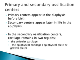  Primary centers appear in the diaphysis
before birth
 Secondary centers appear later in life in the
epiphysis.
 In the secondary ossification centers,
cartilage remains in two regions:
◦ the articular cartilage
◦ the epiphyseal cartilage ( epiphyseal plate or
growth plate)

 
