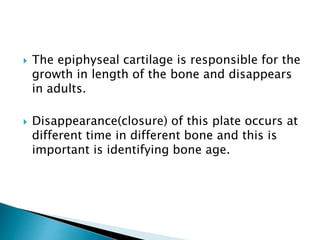  The epiphyseal cartilage is responsible for the
growth in length of the bone and disappears
in adults.
 Disappearance(closure) of this plate occurs at
different time in different bone and this is
important is identifying bone age.
 