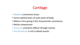 Histology of Cartilage.pptx