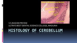 HISTOLOGY OF CEREBELLUM
V.S.RASHMI PRIYEM
ULTRA’S BEST DENTAL SCIENCECOLLEGE, MADURAI
 