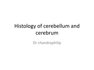 Histology of cerebellum and
cerebrum
Dr chandraphilip
 