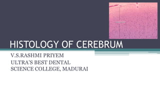 HISTOLOGY OF CEREBRUM
V.S.RASHMI PRIYEM
ULTRA’S BEST DENTAL
SCIENCE COLLEGE, MADURAI
 