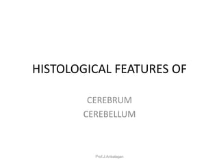 HISTOLOGICAL FEATURES OF
CEREBRUM
CEREBELLUM
Prof.J.Anbalagan
 