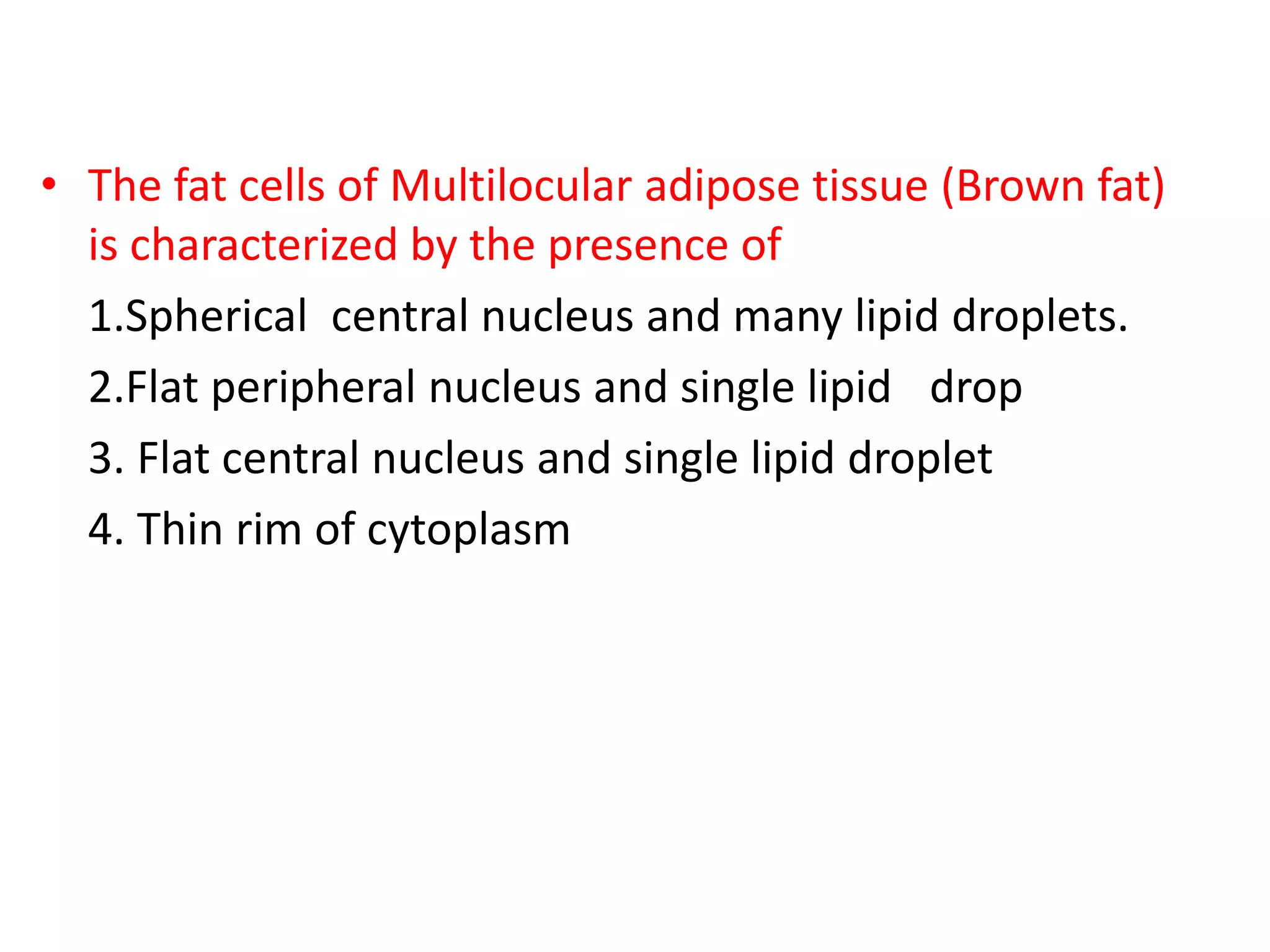 Histology Of Connective Tissue pptx histology-of-connective-tissue-pptx