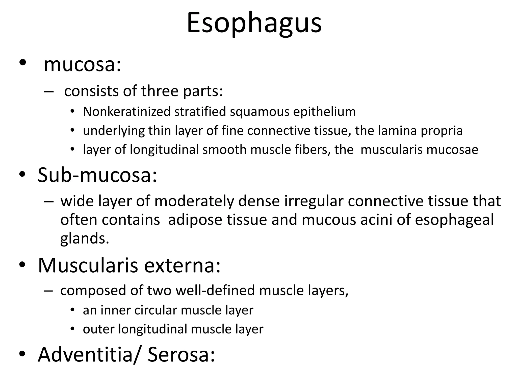 Esophagus
• mucosa:
– consists of three parts:
• Nonkeratinized stratified squamous epithelium
• underlying thin layer of fine connective tissue, the lamina propria
• layer of longitudinal smooth muscle fibers, the muscularis mucosae
• Sub-mucosa:
– wide layer of moderately dense irregular connective tissue that
often contains adipose tissue and mucous acini of esophageal
glands.
• Muscularis externa:
– composed of two well-defined muscle layers,
• an inner circular muscle layer
• outer longitudinal muscle layer
• Adventitia/ Serosa:
 
