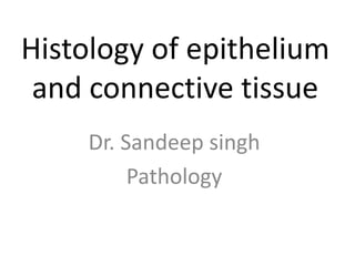 Histology of epithelium
and connective tissue
Dr. Sandeep singh
Pathology
 