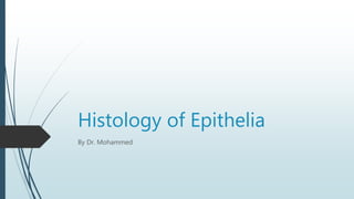 Histology of Epithelia
By Dr. Mohammed
 