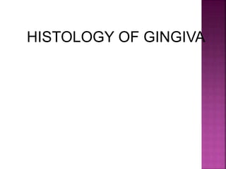 HISTOLOGY OF GINGIVA
 