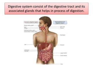 Digestive system consist of the digestive tract and its
associated glands that helps in process of digestion.
 