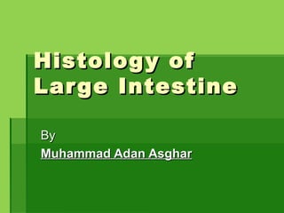 Histology ofHistology of
Large IntestineLarge Intestine
ByBy
Muhammad Adan AsgharMuhammad Adan Asghar
 
