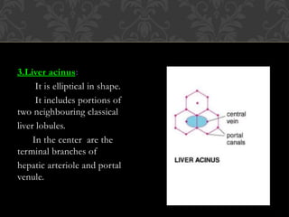 HISTOLOGY OF LIVER .pptx