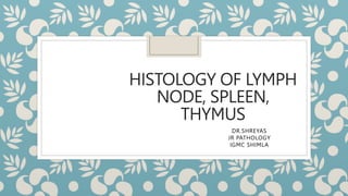 HISTOLOGY OF LYMPH
NODE, SPLEEN,
THYMUS
DR.SHREYAS
JR PATHOLOGY
IGMC SHIMLA
 